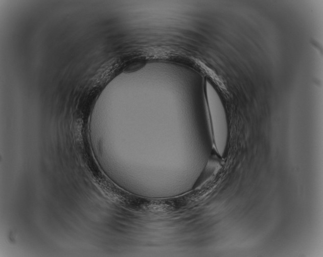 X0000094780209200712141627