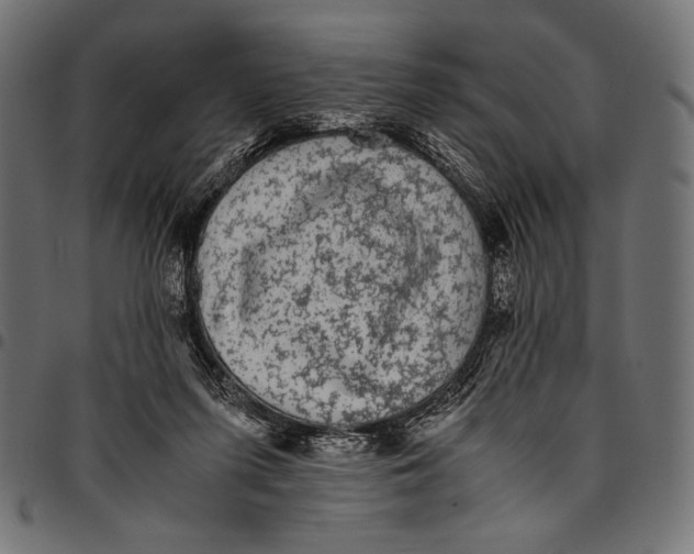 X0000094780215200712141627