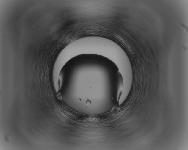 X0000094780217200712141627