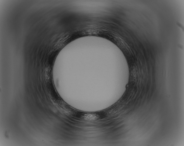 X0000094780218200712141627