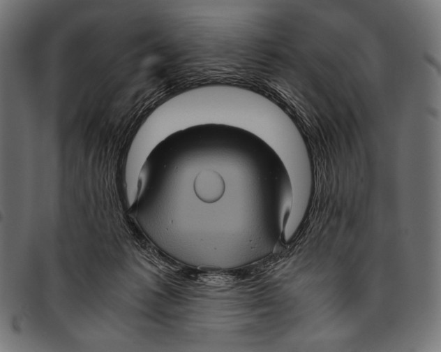 X0000094780221200712141627