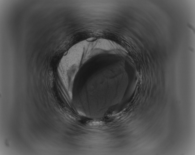 X0000094780223200712141627