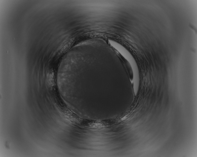 X0000094780224200712141627