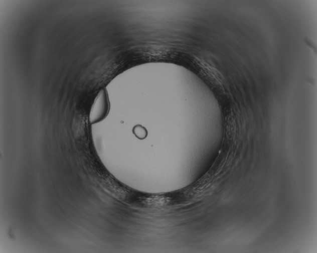 X0000094780225200712141627