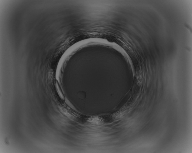 X0000094780231200712141627