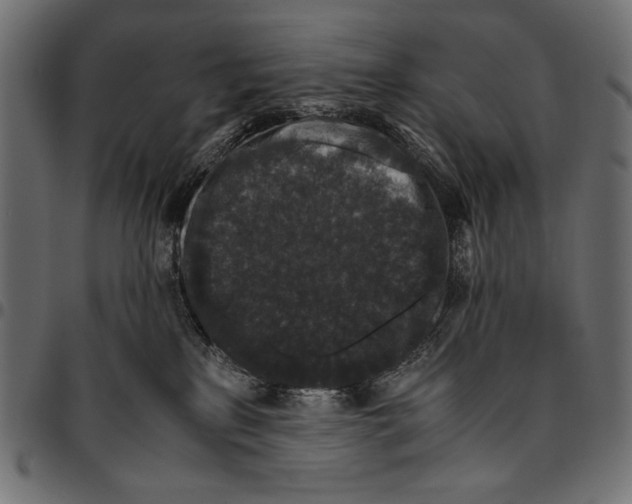 X0000094780233200712141627