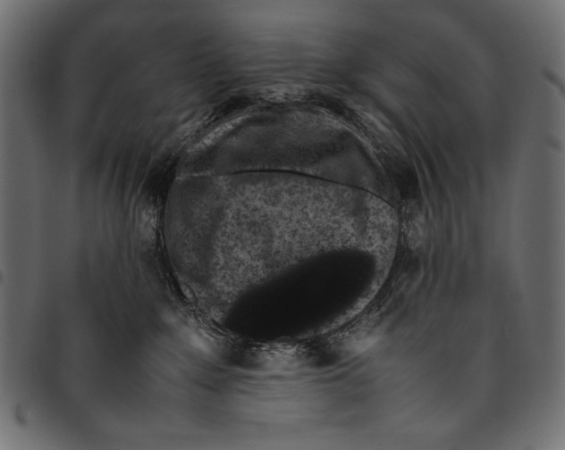 X0000094780235200712141627