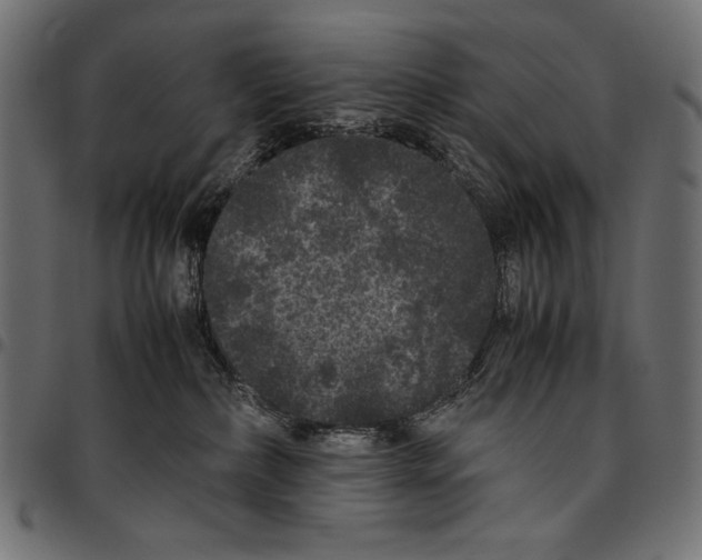 X0000094780236200712141627