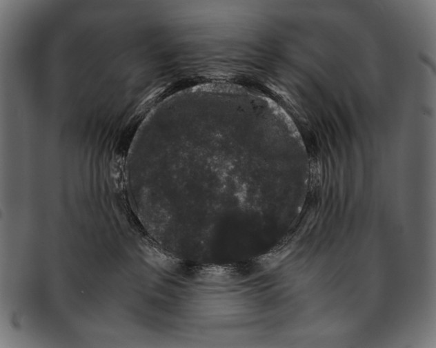 X0000094780237200712141627