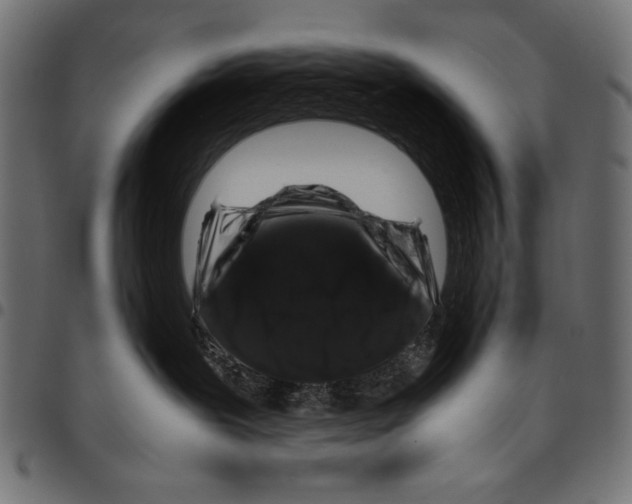 X0000094780239200712141627