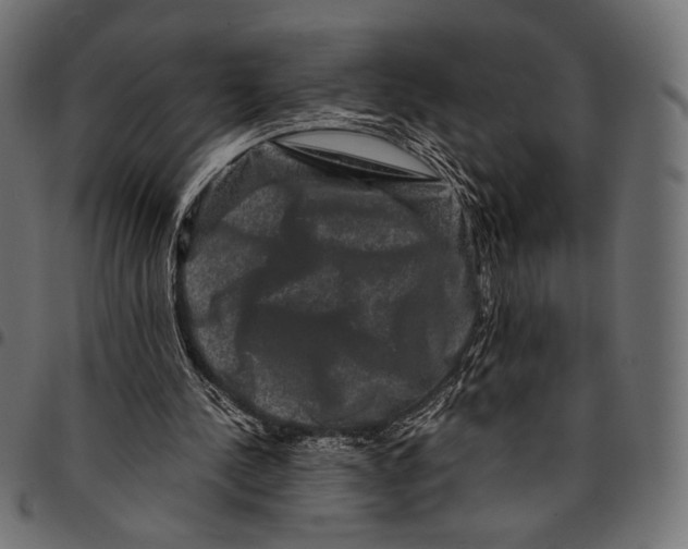 X0000094780244200712141626