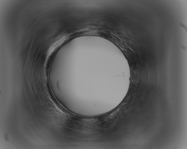 X0000094780245200712141626