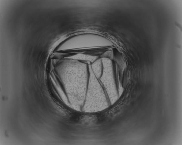 X0000094780248200712141626