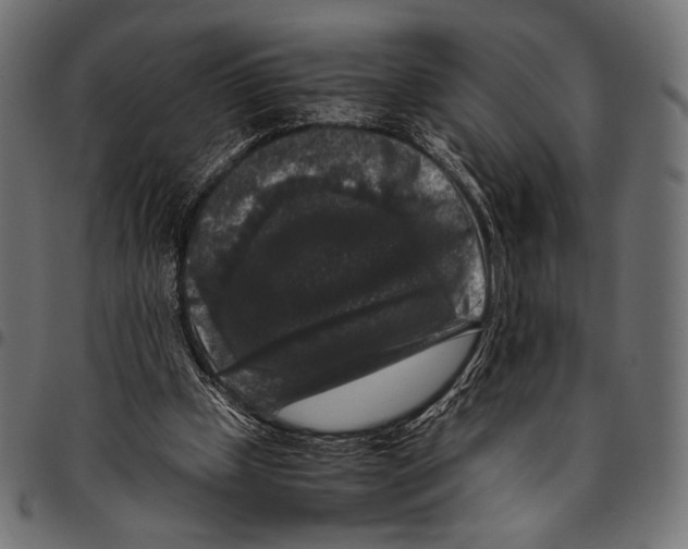 X0000094780249200712141626