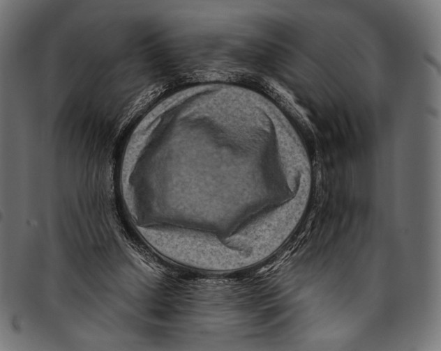 X0000094780250200712141626