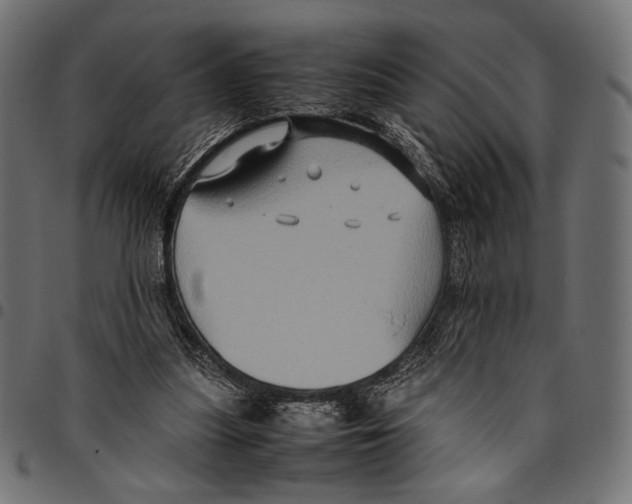 X0000094780251200712141626