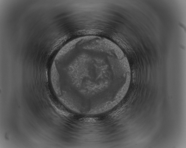 X0000094780254200712141626