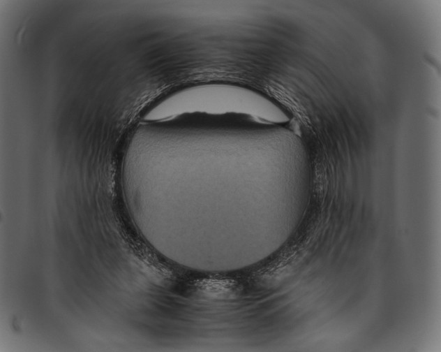 X0000094780255200712141626