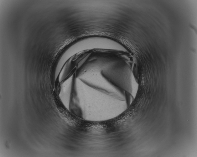 X0000094780256200712141626