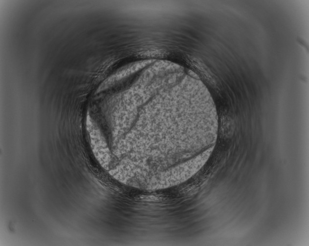 X0000094780259200712141626