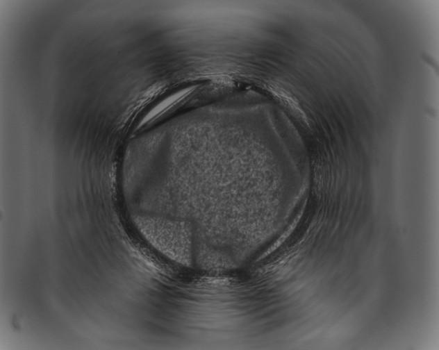 X0000094780260200712141626