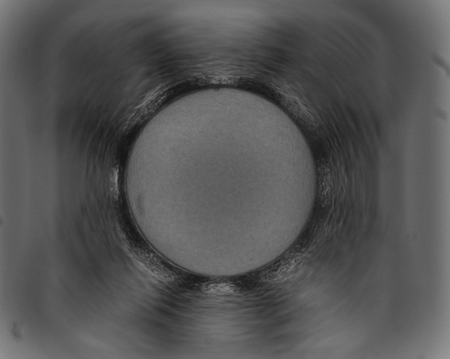 X0000094780262200712141626