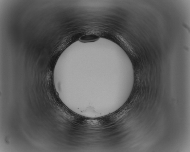 X0000094780265200712141626