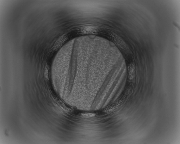 X0000094780266200712141626