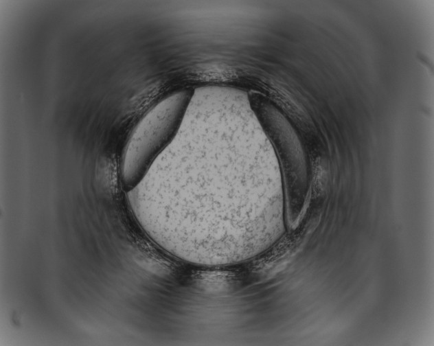 X0000094780268200712141626