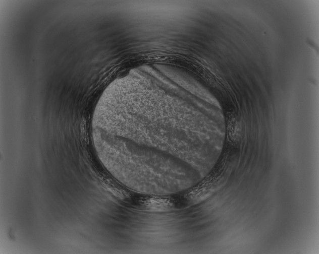 X0000094780270200712141626