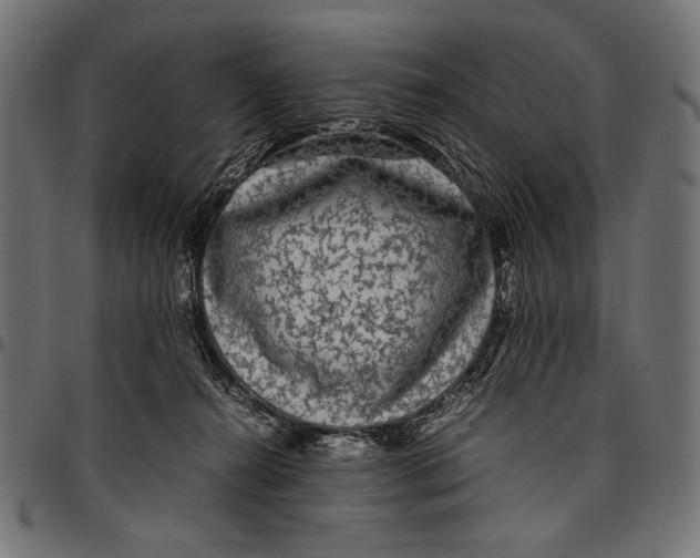 X0000094780272200712141627