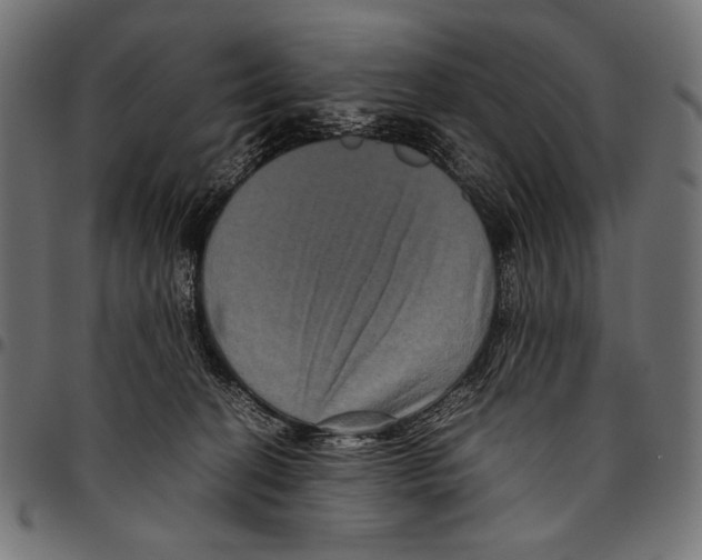 X0000094780274200712141627