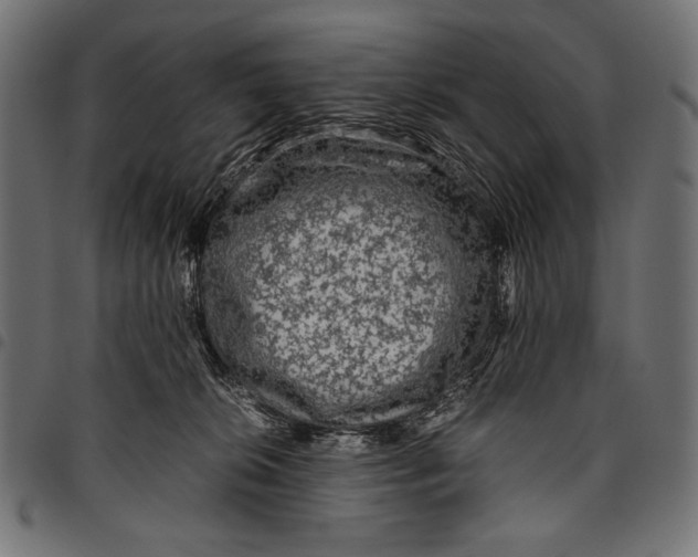 X0000094780276200712141627