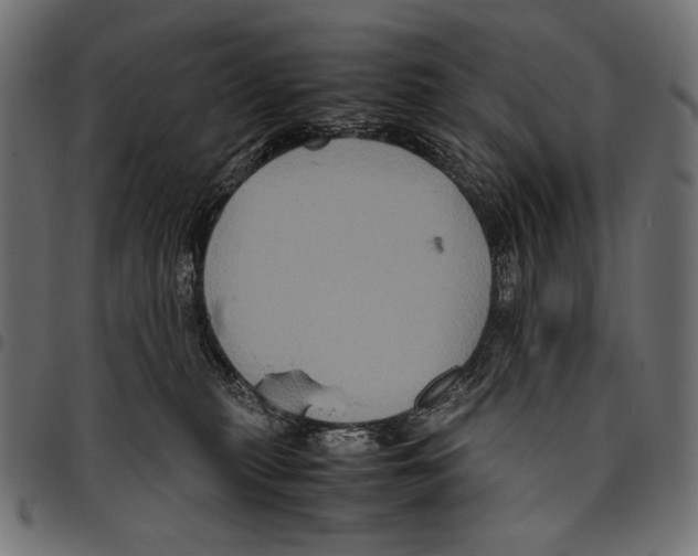 X0000094780279200712141627