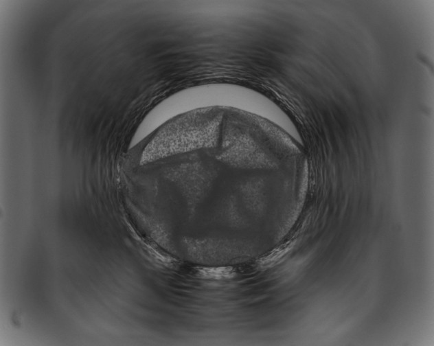 X0000094780281200712141627