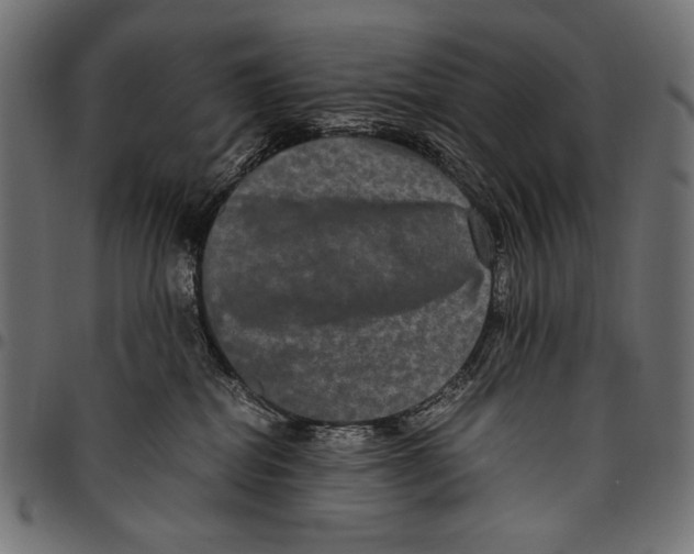 X0000094780282200712141627