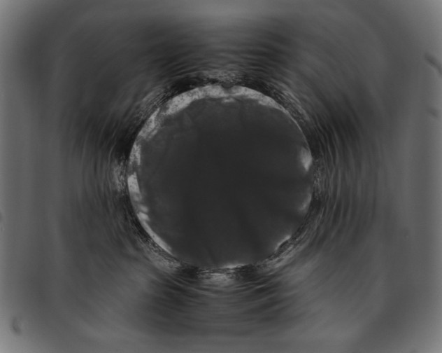 X0000094780285200712141627