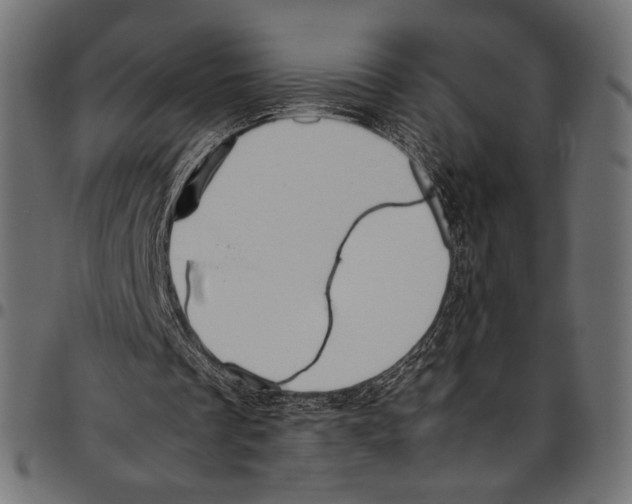 X0000094780289200712141626