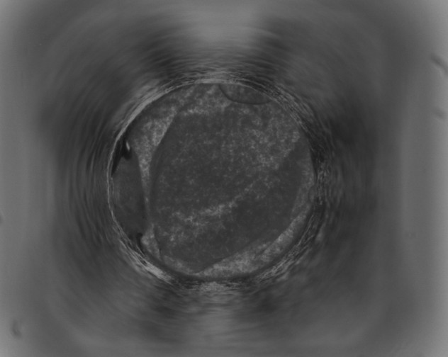 X0000094780290200712141626