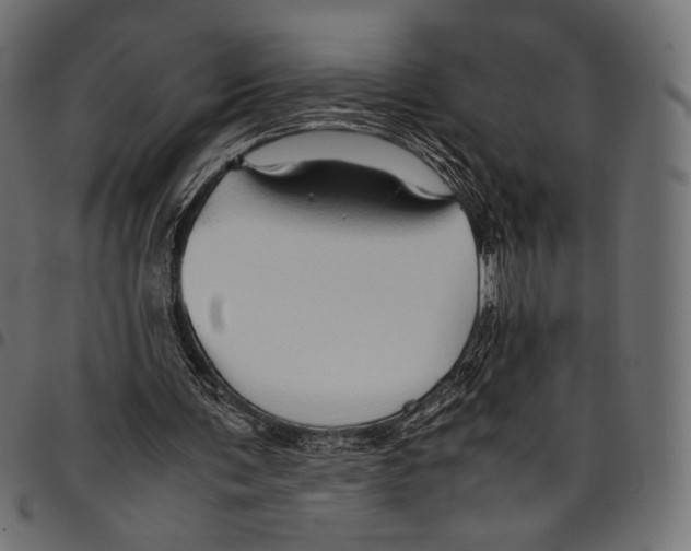 X0000094780291200712141626