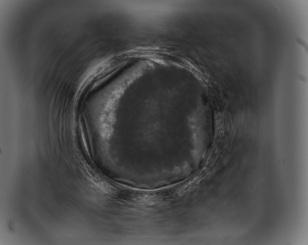 X0000094780293200712141626