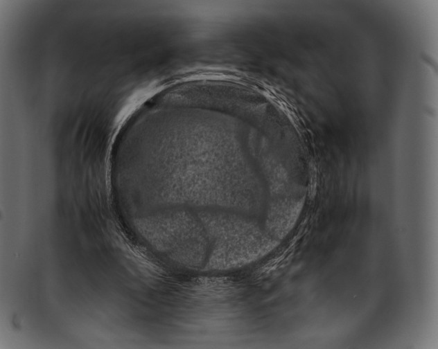 X0000094780296200712141626