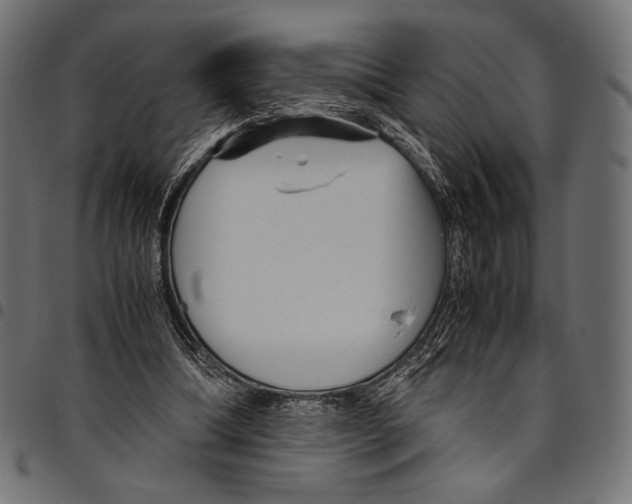 X0000094780298200712141626