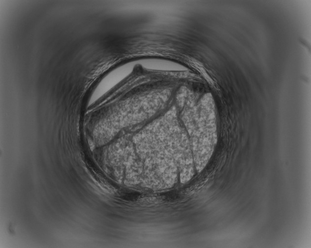 X0000094780299200712141626