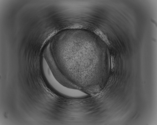 X0000094780300200712141626