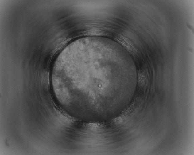 X0000094780302200712141626