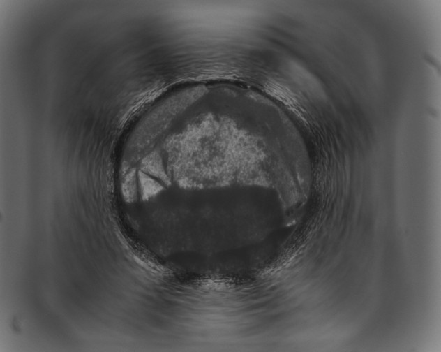 X0000094780303200712141626