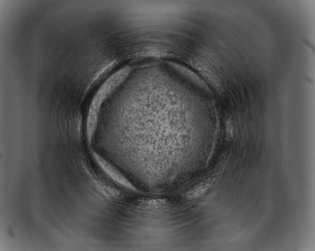 X0000094780304200712141626