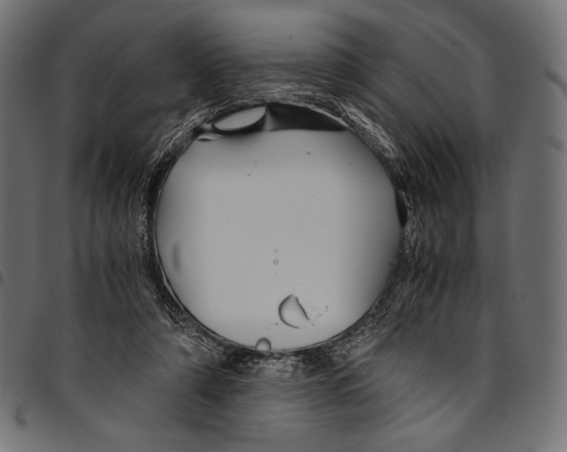 X0000094780306200712141626