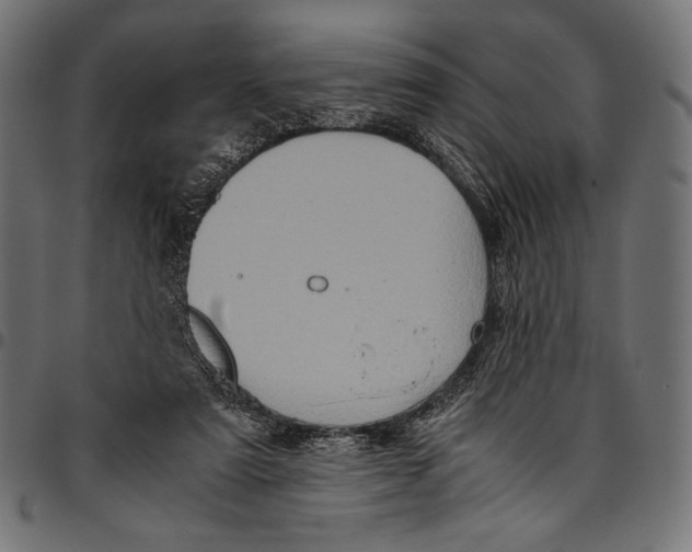 X0000094780307200712141626